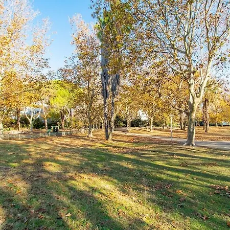 Nid Douillet * Hyper Centre * Clim * A 5 Min * Port A 5 Min