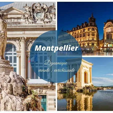 Nid Douillet * Hyper Centre * Clim * A 5 Min * Port A 5 Min Apartament *