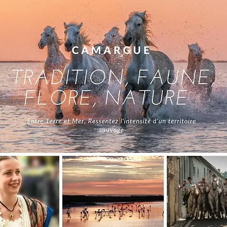 شقة Nid Douillet * Hyper Centre * Clim * A 5 Min * Port A 5 Min *